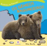 Os gêmeos bagunceiros
