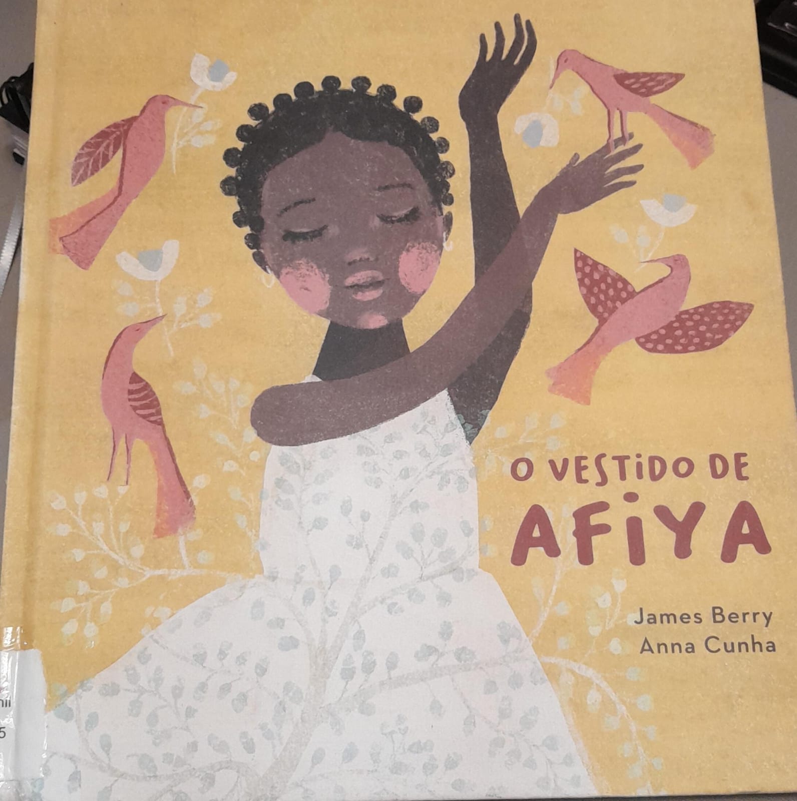 O vestido de Afiya