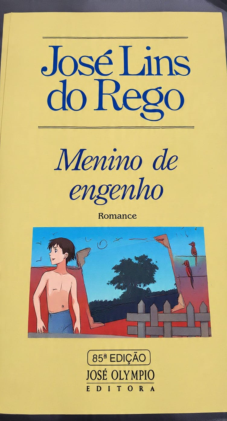 Menino do rego