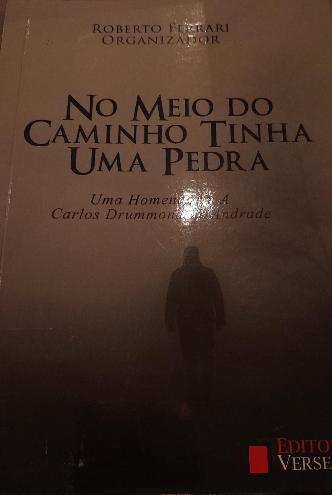 No mei do caminho tinha uma pedra