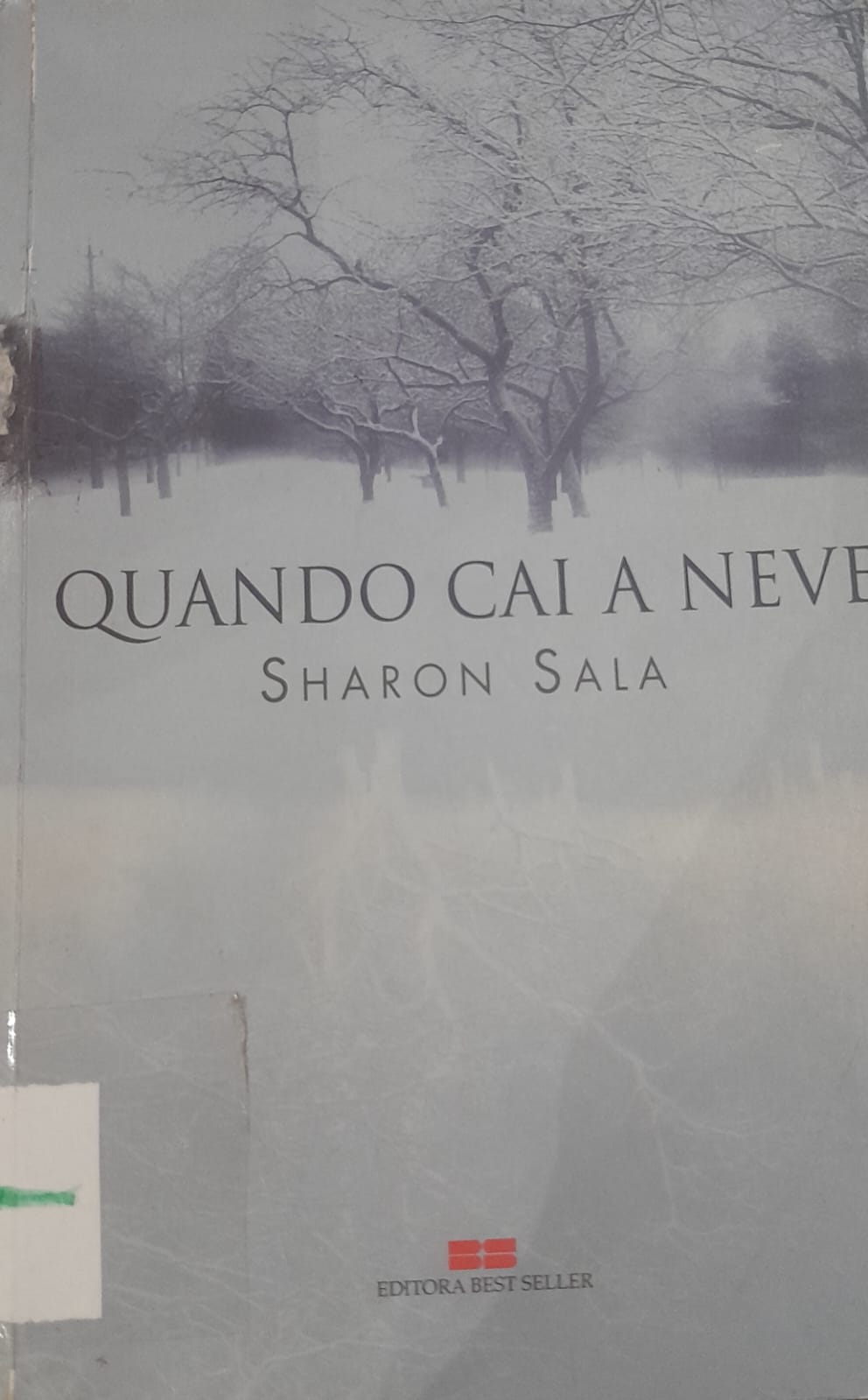 Quando cai a neve