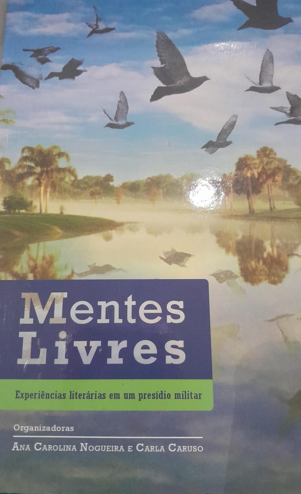 Mentes livres