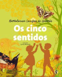 Os cincos sentidos