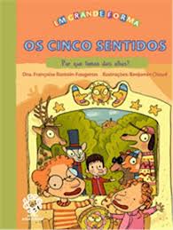 Os cinco sentidos : por que temos dois olhos? / 2010