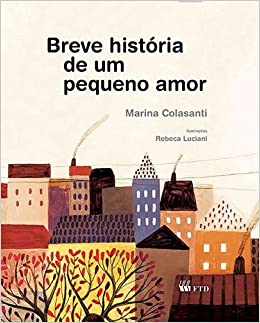 Breve história de um pequeno amor - 1. ed. / 2013