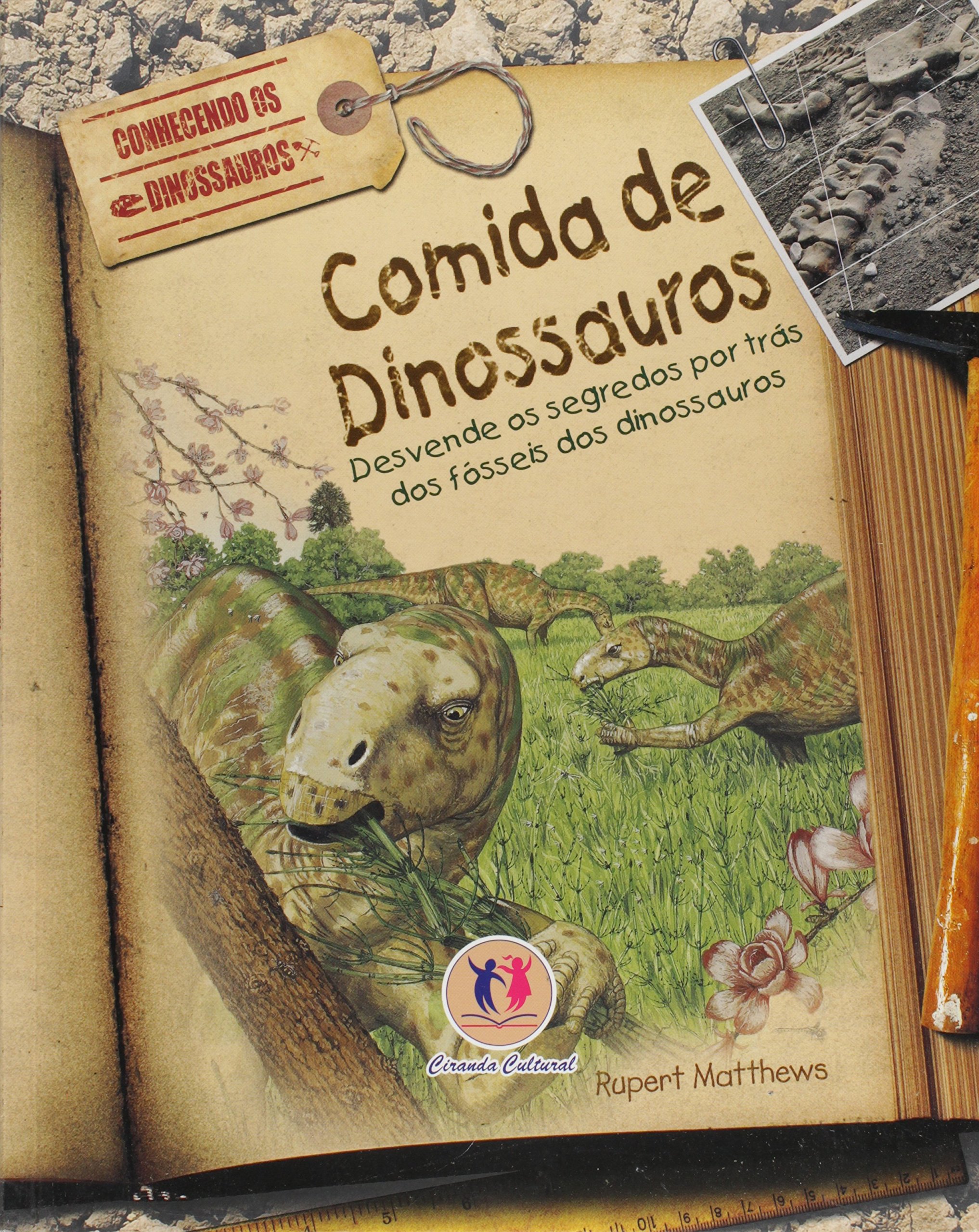 Comida de dinossauros : / 2008
