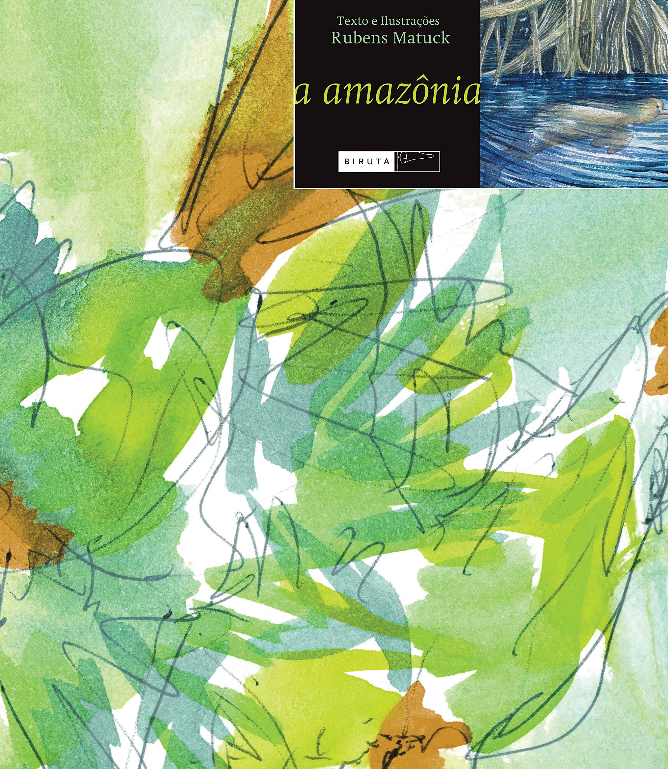 Amazônia, A / 2005
