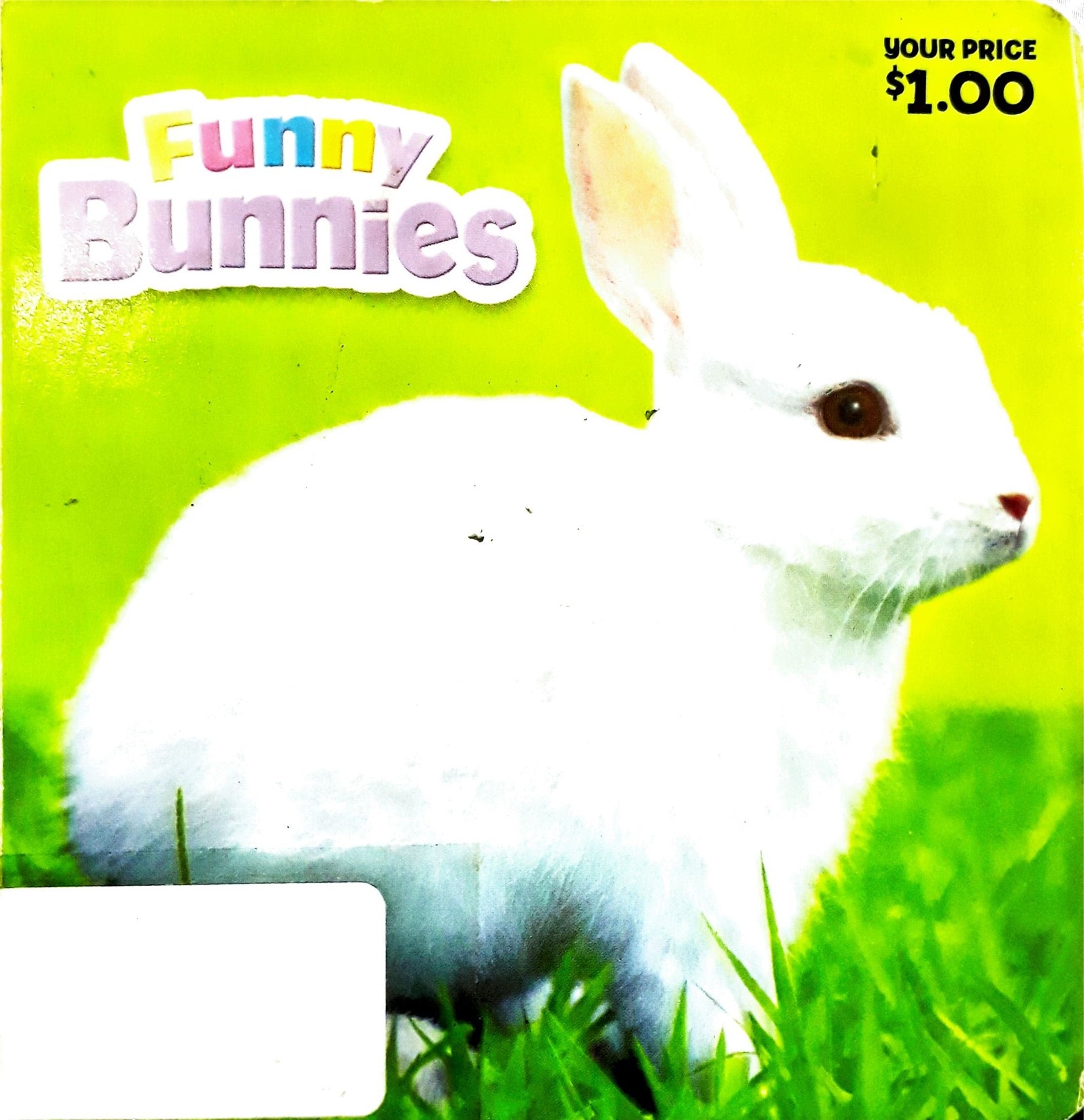 Funny bunnies