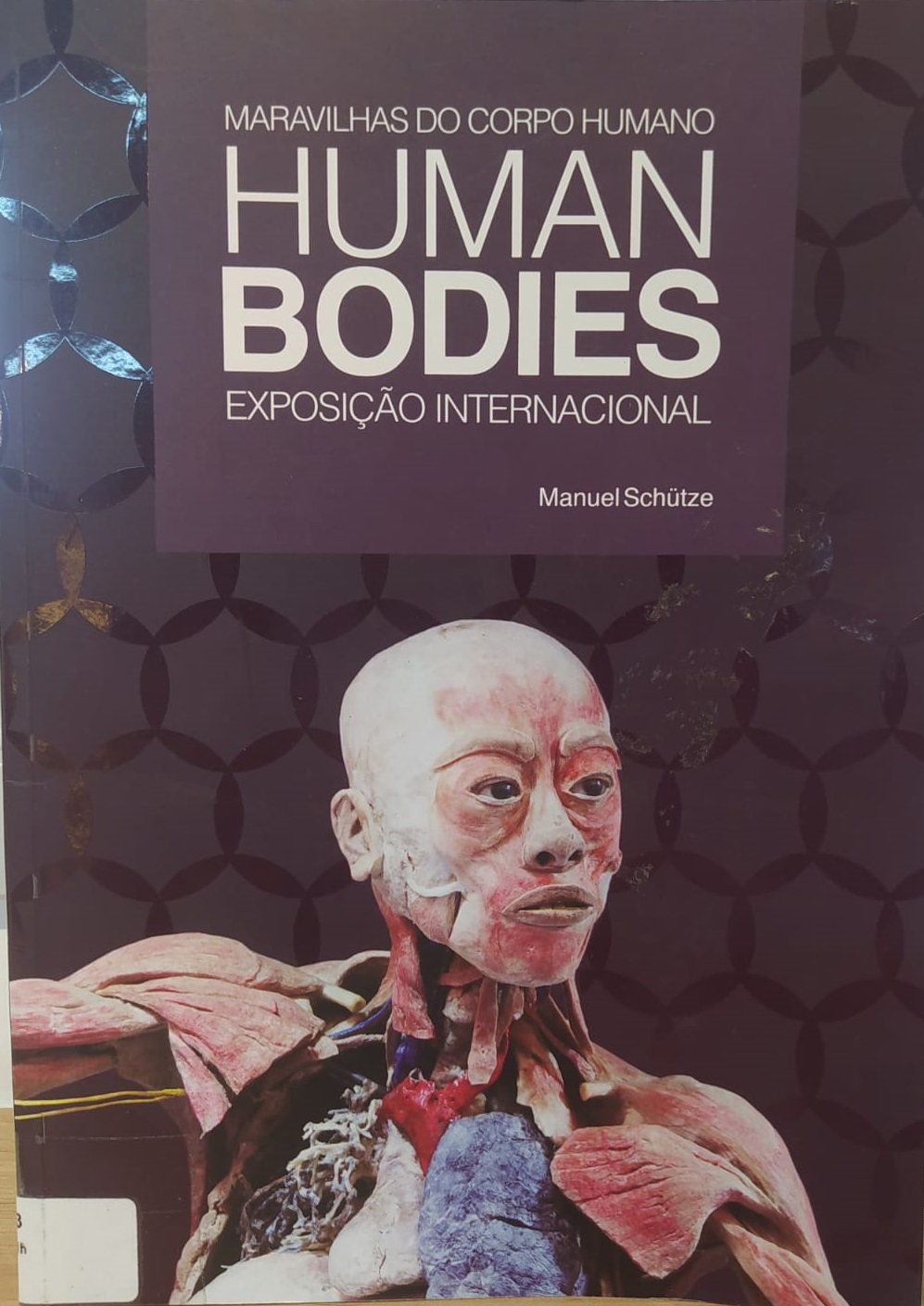 Human Bodies maravilhas do copo humano : - 1. ed. / 2013