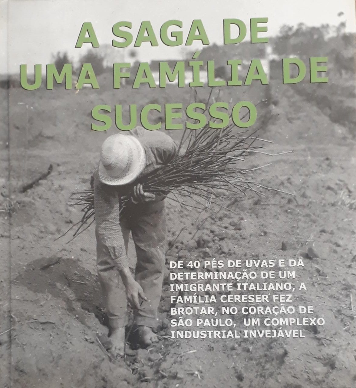 Saga da família de sucesso, A / 1999