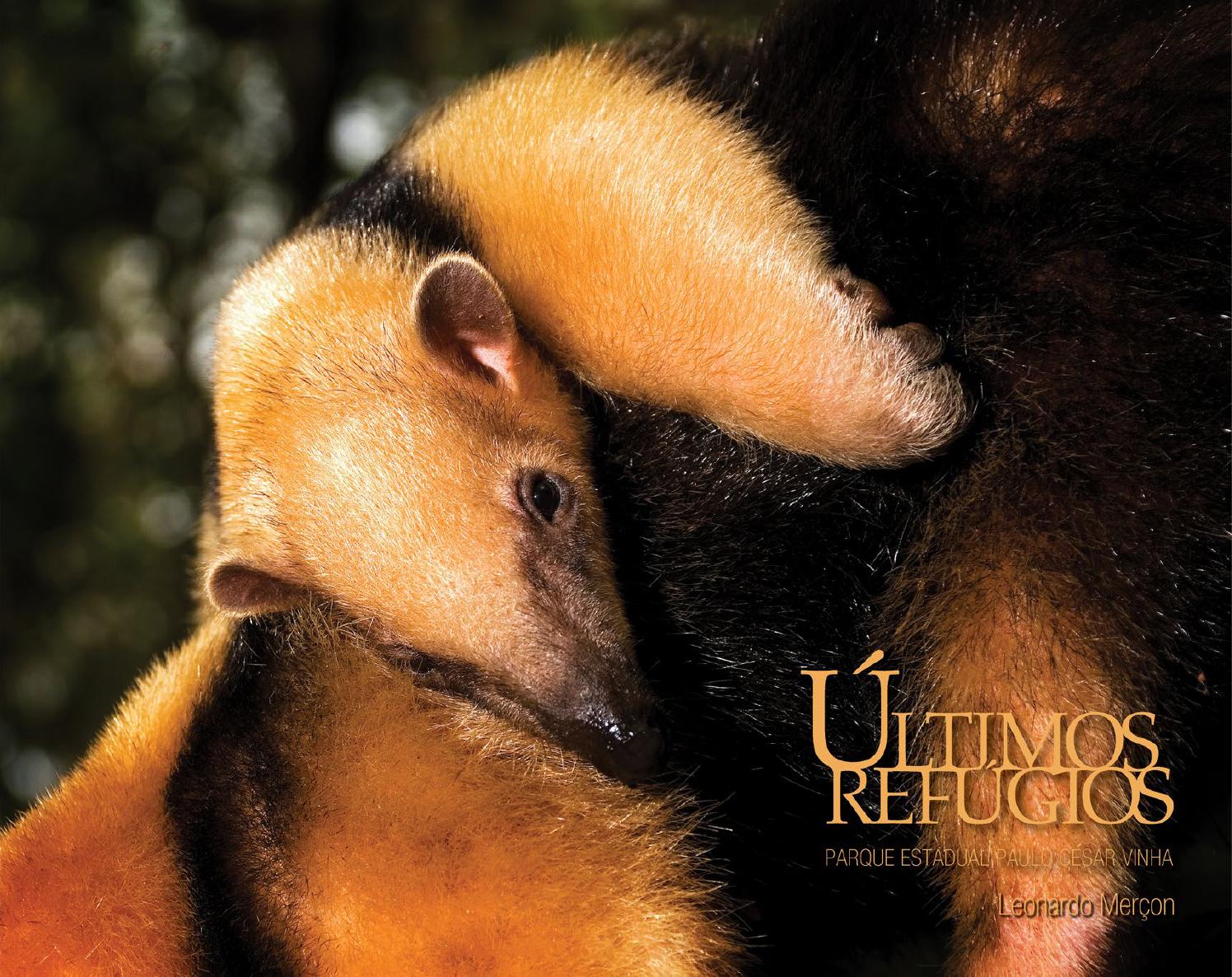 Últimos refúgios: Parque Estadual Paulo César Vinha / 2010