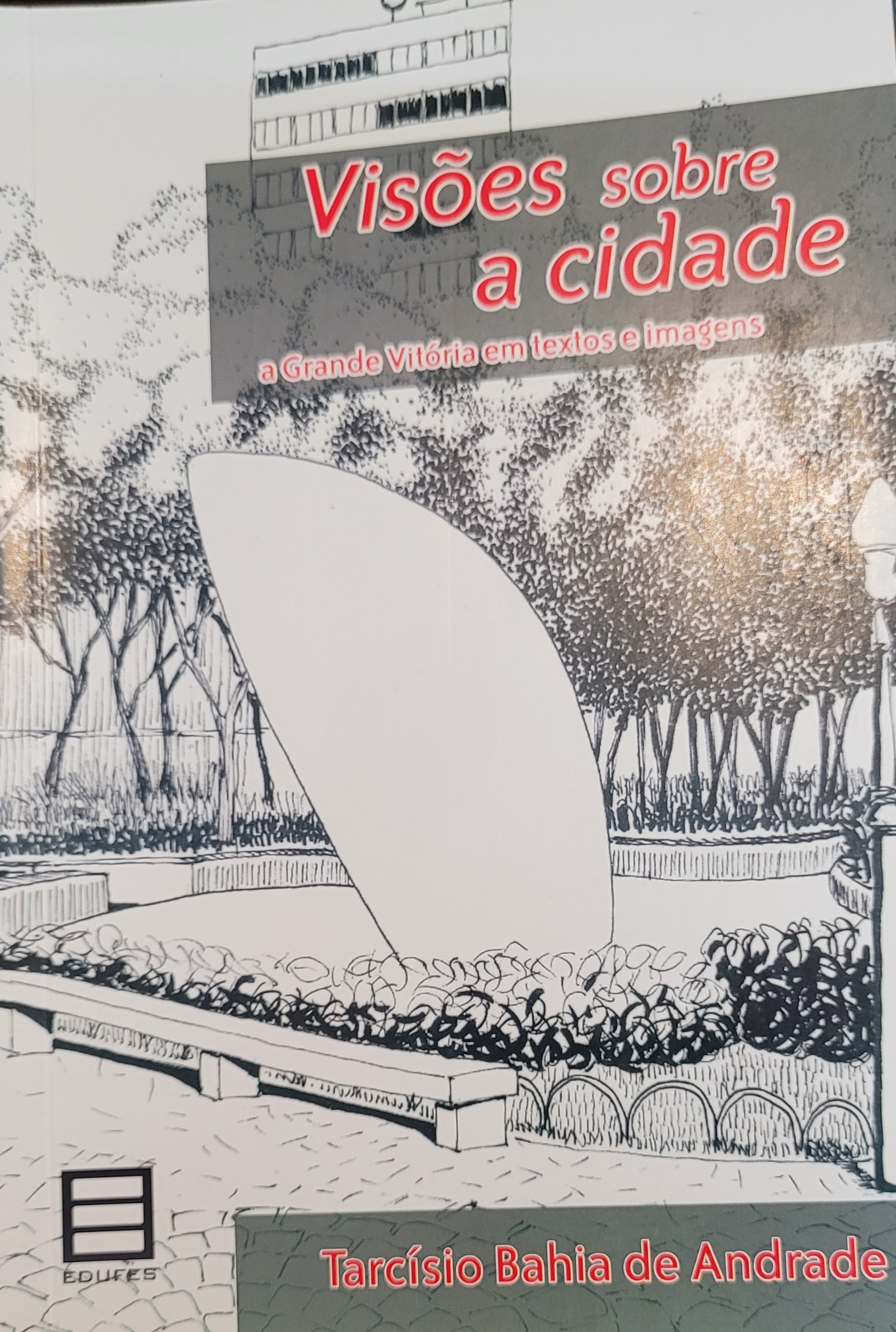 Visões sobre a cidade, a Grande Vitória em textos e imagens / 2011