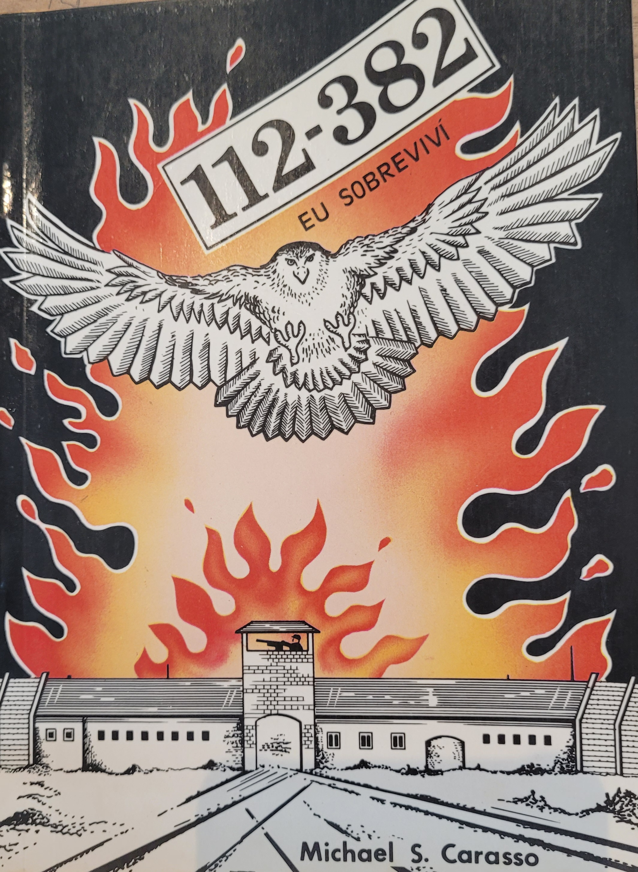 112-382: eu sobrevivi / 2015